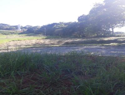 imagem-miniatura