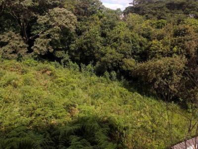 Terreno para Venda, em So Loureno, bairro Vale dos Pinheiros
