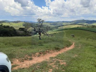 rea Rural para Venda, em Soledade de Minas, bairro Posses
