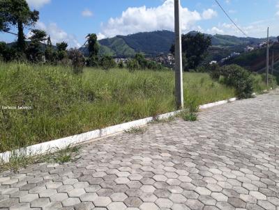 Terreno para Venda, em So Loureno, bairro SO GABRIEL