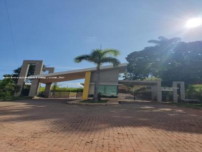 imagem-miniatura