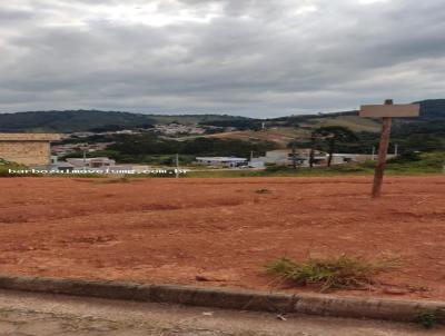imagem-miniatura