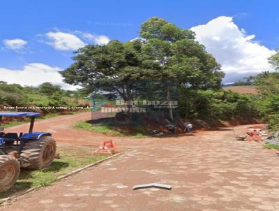 imagem-miniatura