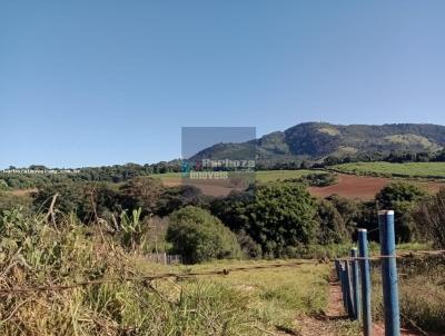 imagem-miniatura