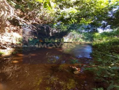 Ch�cara para Venda, em Dom Vi�oso, bairro Ponte de Pedra