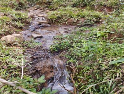 S�tio para Venda, em Dom Vi�oso, bairro Bela Vista